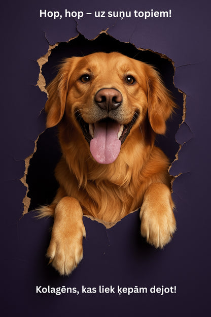 Dr.Flex kolagēna komplekss ar B grupas vitamīniem