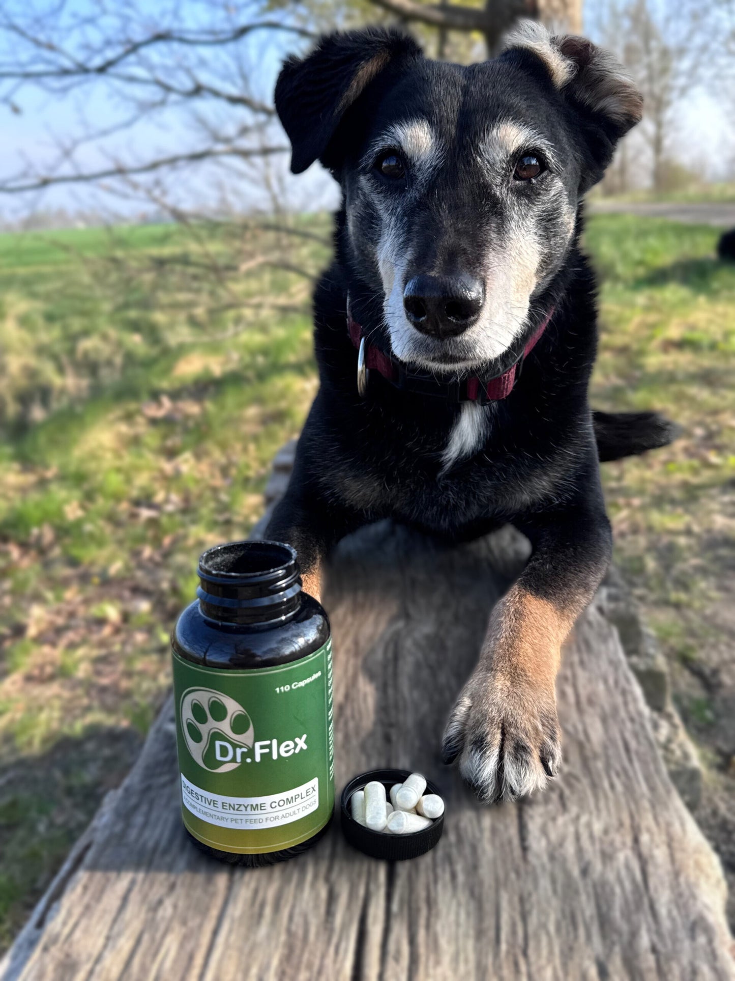 Dr.Flex gremošanas enzīmu komplekss