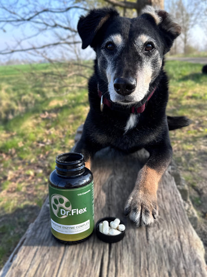 Dr.Flex gremošanas enzīmu komplekss