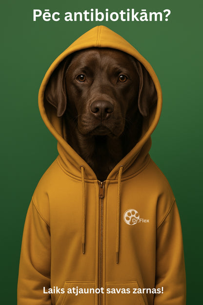 Dr.Flex gremošanas enzīmu komplekss