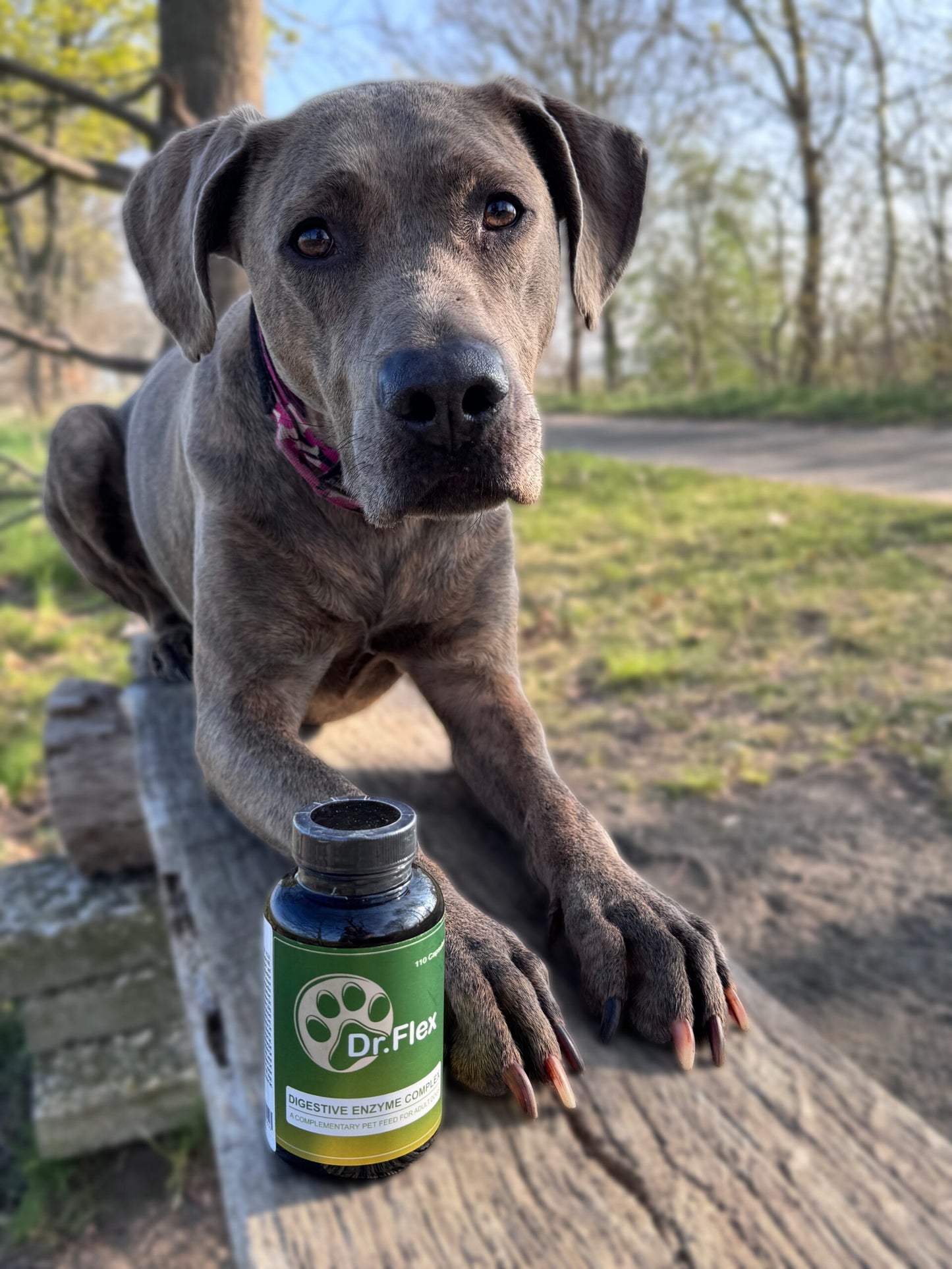 Dr.Flex gremošanas enzīmu komplekss