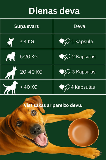 Dr.Flex gremošanas enzīmu komplekss