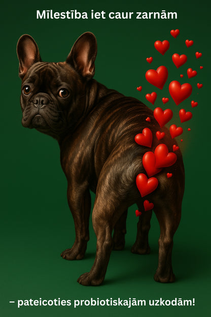 Dr.Flex gremošanas enzīmu komplekss