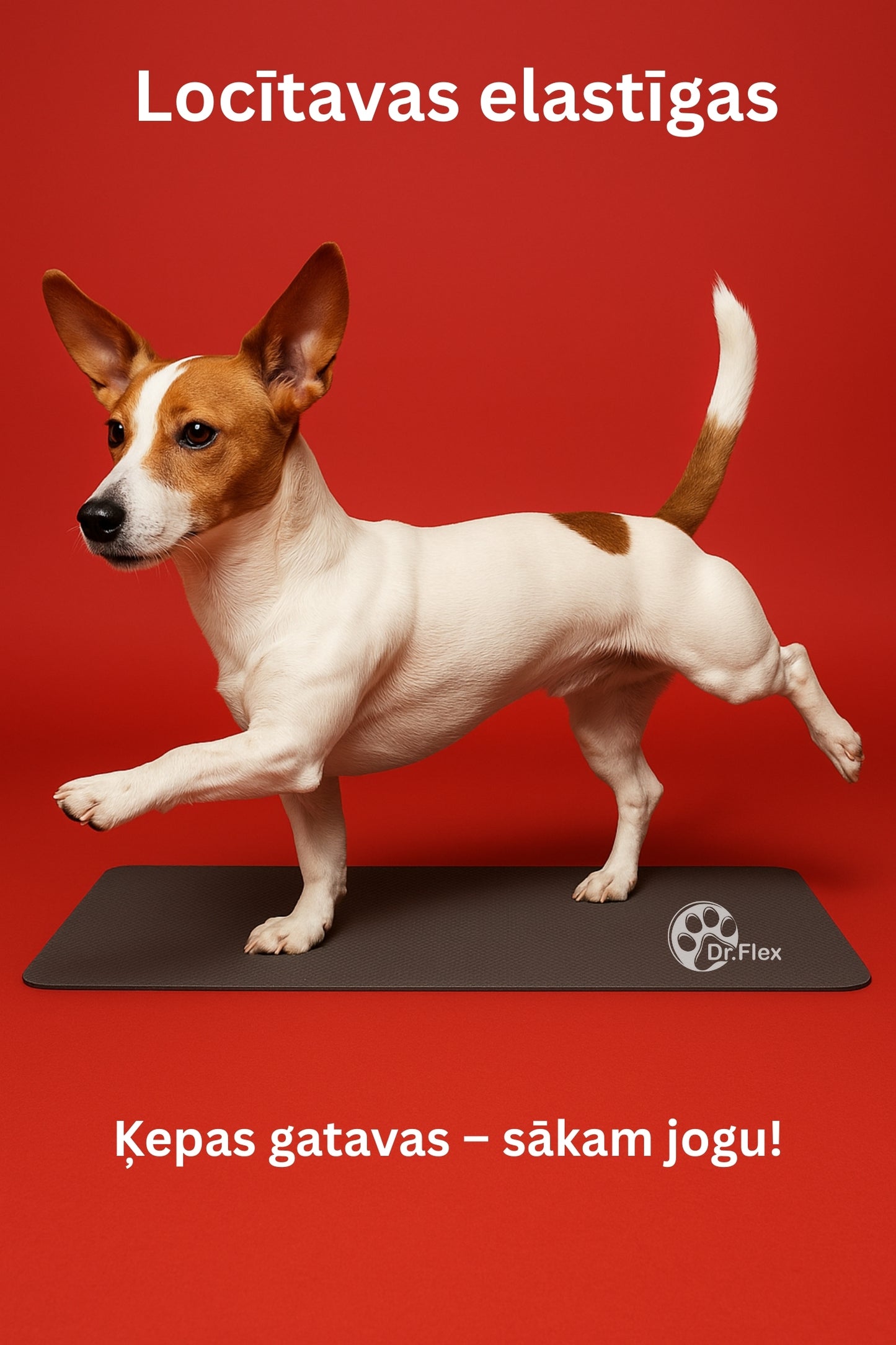 Dr.Flex Locītavu komplekss