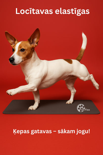 Dr.Flex Locītavu komplekss