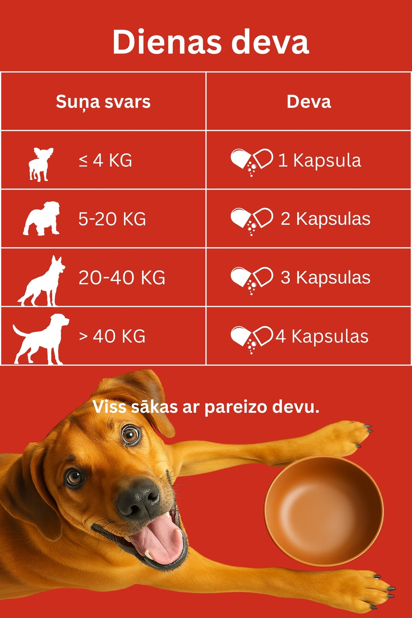 Dr.Flex Locītavu komplekss